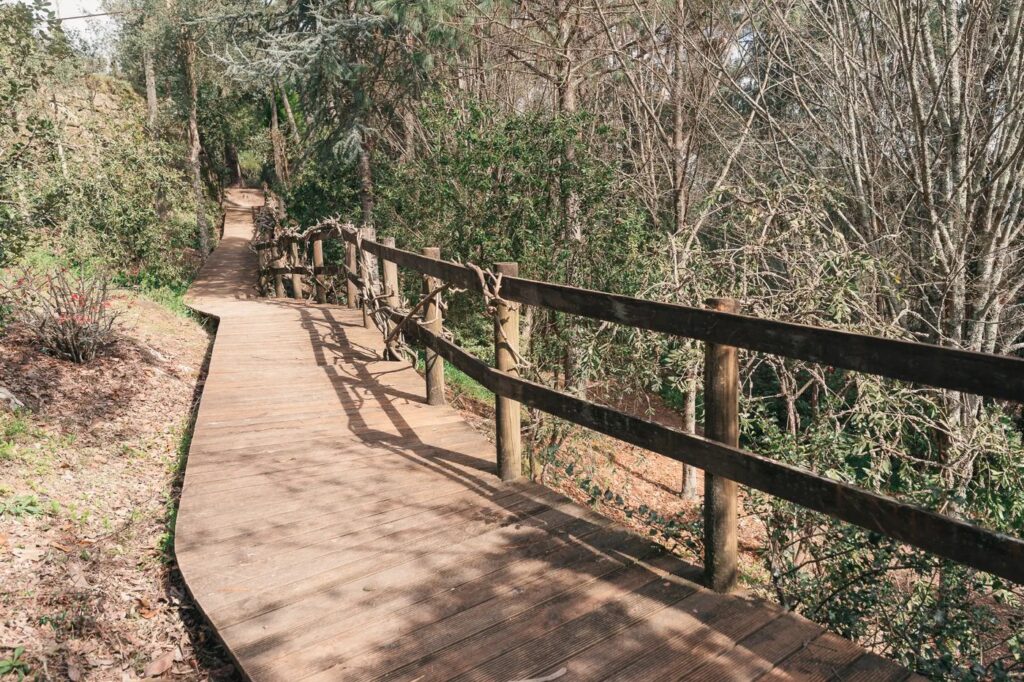 Passadiço de madeira no trilho da floresta