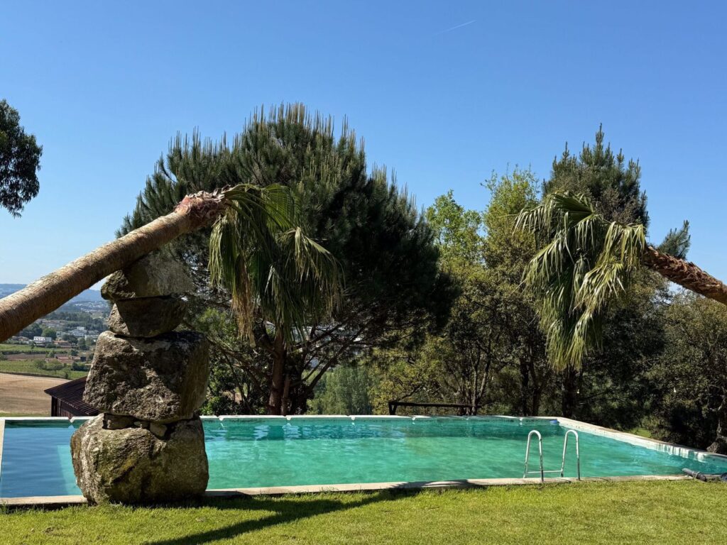 Piscina com palmeiras e pedras empilhadas