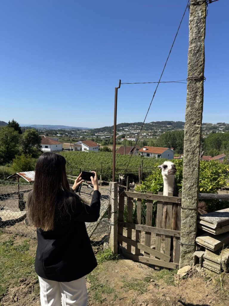 Elemento da equipa a fotografar o lama durante a visita ao alojamento
