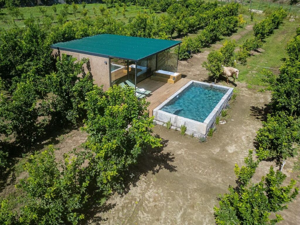 O Alpendre e a piscina no meio do pomar, vistos de cima