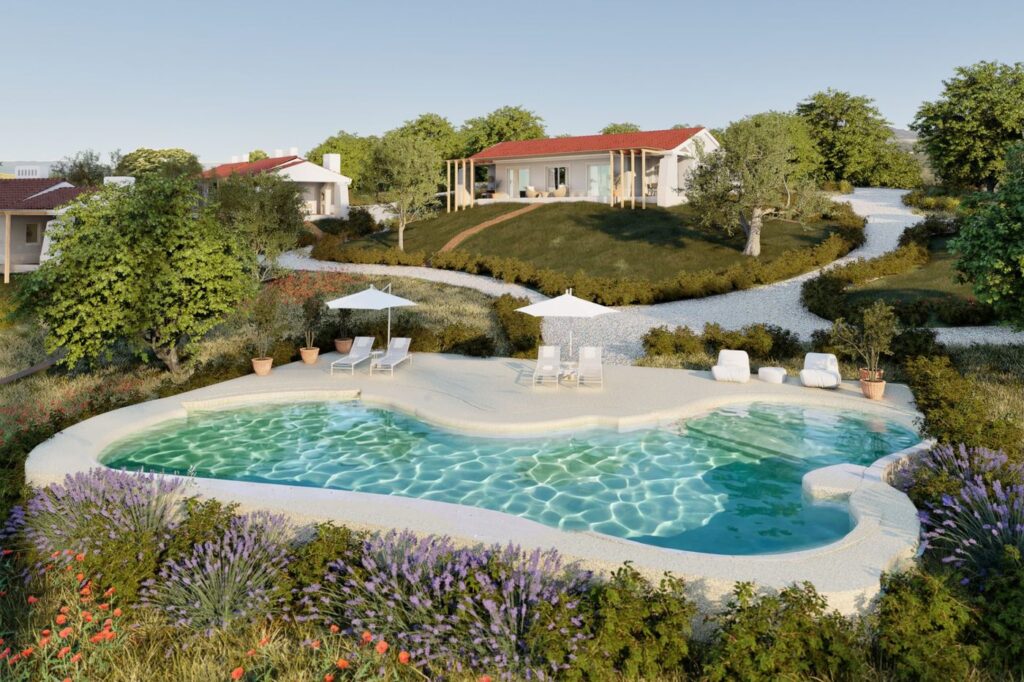 Imagem 3D da piscina com lavanda e papoilas à frente e as casas atrás