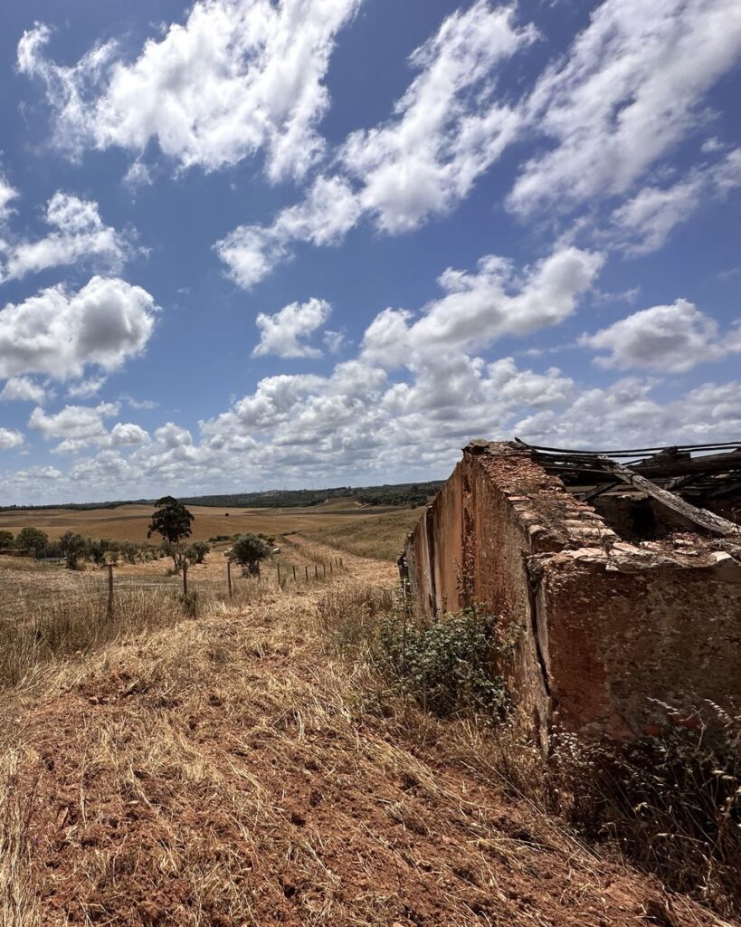 A dependência agrícola em ruína no terreno, em 2023